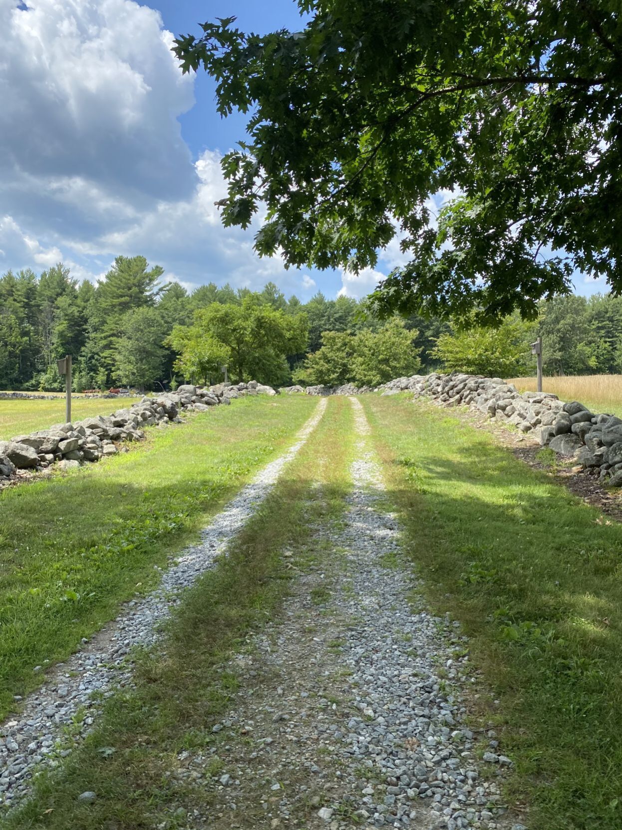 Main road